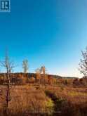 PTLT 39 CON 25 N E | Georgian Bluffs Ontario | Slide Image Fifteen