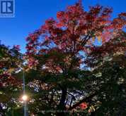 PTLT 39 CON 25 N E | Georgian Bluffs Ontario | Slide Image Sixteen