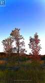PTLT 39 CON 25 N E | Georgian Bluffs Ontario | Slide Image Seventeen