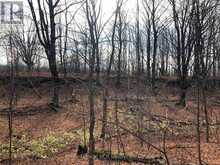 PTLT 39 CON 25 N E | Georgian Bluffs Ontario | Slide Image Nineteen
