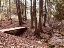 PTLT 39 CON 25 N E | Georgian Bluffs Ontario | Slide Image Twenty