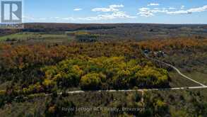 PTLT 39 CON 25 N E | Georgian Bluffs Ontario | Slide Image Four