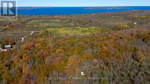 PTLT 39 CON 25 N E | Georgian Bluffs Ontario | Slide Image Eight
