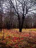 PTLT 39 CON 25 N E | Georgian Bluffs Ontario | Slide Image Nine