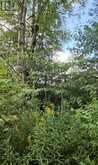 612608 SIDEROAD 61 | Southgate Ontario | Slide Image Eight