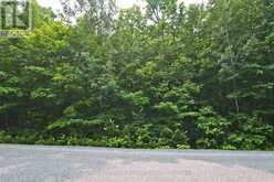 PART 1 - 0 LYNDSEY LANE | McKellar Ontario | Slide Image Nine