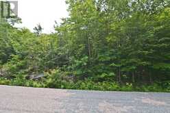 PART 2 - 0 LYNDSEY LANE | McKellar Ontario | Slide Image Ten