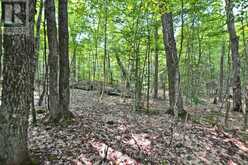 PART 2 - 0 LYNDSEY LANE | McKellar Ontario | Slide Image Eighteen