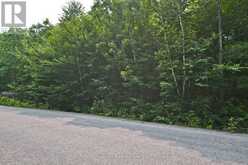 PART 2 - 0 LYNDSEY LANE | McKellar Ontario | Slide Image Nine
