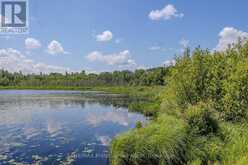 1367 PICKEREL AND JACK LAKE ROAD | Magnetawan Ontario | Slide Image Five