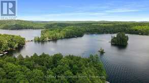 1042 PLATINUM BAY ROAD | Haliburton Ontario | Slide Image Thirty-nine