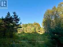 0 HWY 35 ROAD | Highlands East Ontario | Slide Image Two
