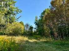 0 HWY 35 ROAD | Highlands East Ontario | Slide Image Thirty-two