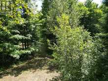 1170 BUSHWOLF LAKE ROAD | Haliburton Ontario | Slide Image Sixteen