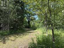 1170 BUSHWOLF LAKE ROAD | Haliburton Ontario | Slide Image Twenty