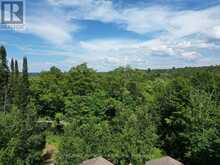 1170 BUSHWOLF LAKE ROAD | Haliburton Ontario | Slide Image Seventeen