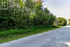 LT 10 PETER AVENUE | Tiny Ontario | Slide Image Two