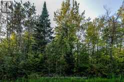 LT 10 PETER AVENUE | Tiny Ontario | Slide Image Nine