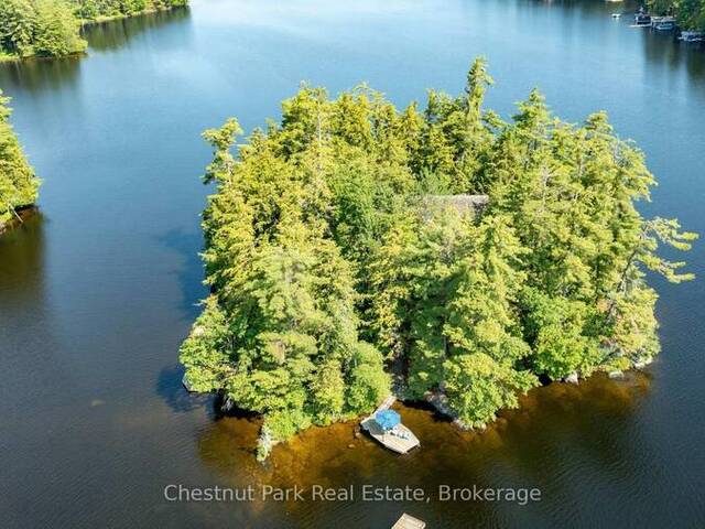 1 MERLIN (ISLAND M91) ISLAND Gravenhurst Ontario, P1P 1R2 - 4 Bedrooms Waterfront Home For sale