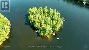 1 MERLIN (ISLAND M91) ISLAND | Gravenhurst Ontario | Slide Image Forty-three