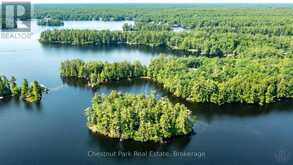 1 MERLIN (ISLAND M91) ISLAND | Gravenhurst Ontario | Slide Image Forty-four
