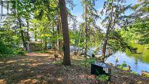 1 MERLIN (ISLAND M91) ISLAND | Gravenhurst Ontario | Slide Image Ten