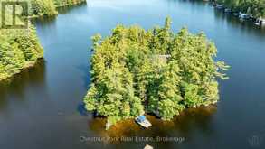 1 MERLIN (ISLAND M91) ISLAND | Gravenhurst Ontario | Slide Image One