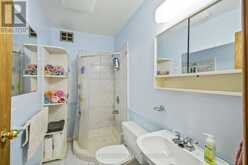 1 MERLIN (ISLAND M91) ISLAND | Gravenhurst Ontario | Slide Image Seventeen