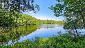 1 MERLIN (ISLAND M91) ISLAND | Gravenhurst Ontario | Slide Image Thirty-one