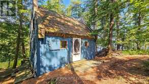 1 MERLIN (ISLAND M91) ISLAND | Gravenhurst Ontario | Slide Image Thirty-two