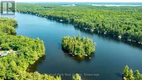 1 MERLIN (ISLAND M91) ISLAND | Gravenhurst Ontario | Slide Image Three