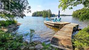 1 MERLIN (ISLAND M91) ISLAND | Gravenhurst Ontario | Slide Image Thirty-six