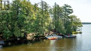 1 MERLIN (ISLAND M91) ISLAND | Gravenhurst Ontario | Slide Image Thirty-nine