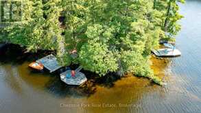 1 MERLIN (ISLAND M91) ISLAND | Gravenhurst Ontario | Slide Image Forty