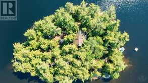 1 MERLIN (ISLAND M91) ISLAND | Gravenhurst Ontario | Slide Image Forty-one