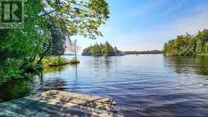 1 MERLIN (ISLAND M91) ISLAND | Gravenhurst Ontario | Slide Image Four