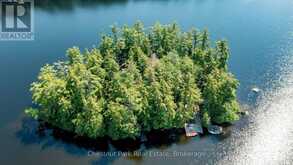 1 MERLIN (ISLAND M91) ISLAND | Gravenhurst Ontario | Slide Image Five