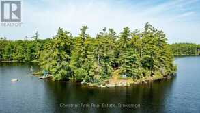 1 MERLIN (ISLAND M91) ISLAND | Gravenhurst Ontario | Slide Image Six