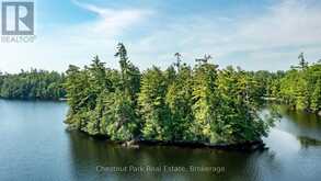 1 MERLIN (ISLAND M91) ISLAND | Gravenhurst Ontario | Slide Image Seven