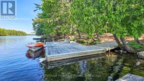 1 MERLIN (ISLAND M91) ISLAND | Gravenhurst Ontario | Slide Image Eight