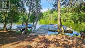 1 MERLIN (ISLAND M91) ISLAND | Gravenhurst Ontario | Slide Image Nine