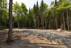 2212 ASPDIN ROAD | Huntsville Ontario | Slide Image Nine