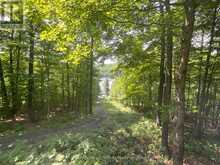 1117 LIMBERLOST POINT ROAD | Parry Sound Ontario | Slide Image Twenty-two