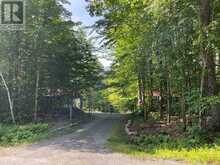 1117 LIMBERLOST POINT ROAD | Parry Sound Ontario | Slide Image Fifteen