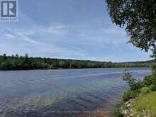1117 LIMBERLOST POINT ROAD | Parry Sound Ontario | Slide Image Eight