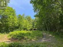1117 LIMBERLOST POINT ROAD | Parry Sound Ontario | Slide Image Twelve