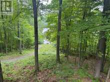 1117 LIMBERLOST POINT ROAD | Parry Sound Ontario | Slide Image Five