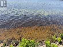 1117 LIMBERLOST POINT ROAD | Parry Sound Ontario | Slide Image Nine