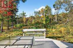 556 CHAMPLAIN ROAD | Tiny Ontario | Slide Image Thirty