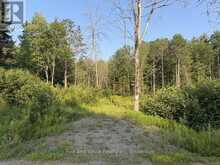41 MINTHA STREET | Madawaska Valley Ontario | Slide Image Two
